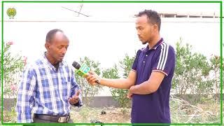 Gudoomiyaha Lagdinka Qalaamo Rogadka Somaliland Oo Dalka Dib Ugu Soo Laabtay Shaqo Ku Jogay Etopiya