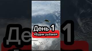 День 1 «Неожиданный улов» #рыбалка #выходной #отдых