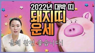 2022년 돼지띠 운세 | 올해 완전 좋습니다 기대하세요