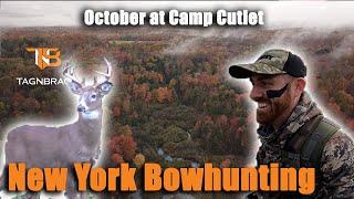 New York Bowhunting