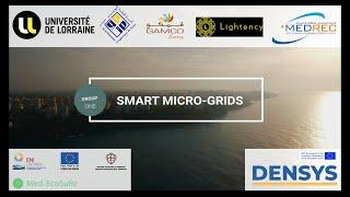 Smart Micro-Grid systems: Performance analysis and Energy trading in the Mediterranean