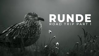 Road Trip to Runde Bird Island | Bird Photography | BioFoto Part 1/2