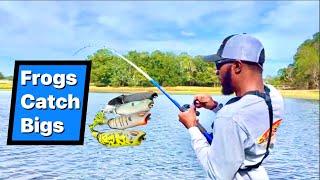 TOPWATER ONLY Challenge| Bank Fishing Florida Mayhem