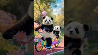 #panda #pandafamily   #cutepanda #funny #pandalover