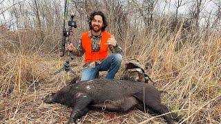 Big Boar Down with the BLACK MAMBA PRO by APA Archery! Catch, Clean, Cook