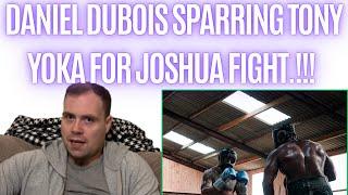 DANIEL DUBOIS SPARRING TONY YOKA AHEAD OF ANTHONY JOSHUA FIGHT…!!!