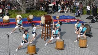 ⁴ᴷ Soh Daiko : Japanese Taiko Drumming at Roosevelt Island Cherry Blossom Festival (April 2019)