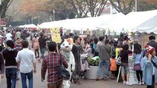 千葉大学紹介動画（日本語版）