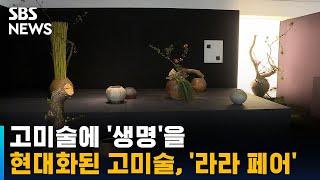 현대화된 고미술의 세계, '라라 페어' / SBS / 문화현장