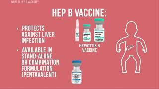 Hepatitis B Vaccine