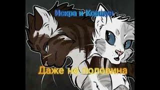 【️Коты-Воители: Искра и Коршун】️ ️Даже не половина️