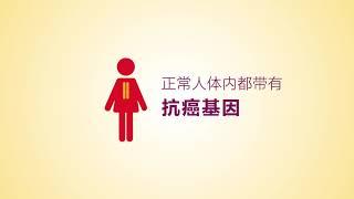 1. 遗传型乳腺癌与卵巢癌的基础知识