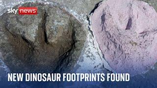 UK's biggest ever dinosaur footprint site found in Oxfordshire quarry