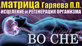 Регенерация и восстановление организма во время сна (универсальная матрица Гаряева для всего тела)