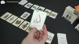 Discovery - the evolution game. Gameplay by Boardgames with Niramas. Game Nr 1 - Discovery Intro