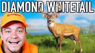 Hunting Down the Diamond Whitetail Deer!