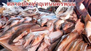 ตลาดปลาสดไทย ลาว ท่าอุเทน นครพนม