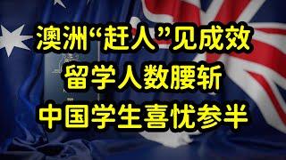 澳洲设定25年留学生限额，留学生人数减半，澳洲八大损失惨重！