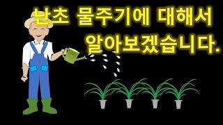 [난초기르기] 난초 물주기(관수)에 대해서 알아보겠습니다.