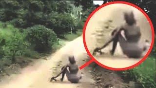 Mysterious Creatures Caught On Camera & Spotted In Real Life