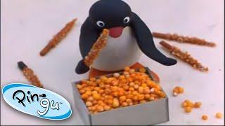 Pingu As A Chef   Pingu Official Channel