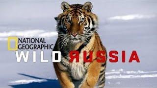 Beauty of Wild Russia Siberia National Geographic 2013 | Documentary Film