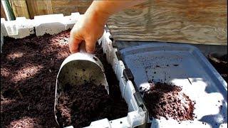 Harvesting Worm Castings | Highly Effective Method For Separating Out The Worms!