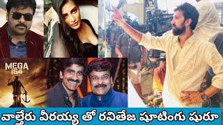 Megastar Chiranjeevi Mega154 New Schedule started | Mega154 Latest updates| Bobby | Shruti Haasan|