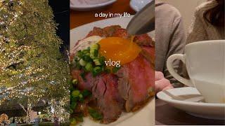 vlog）恋人としてラストデート|週末vlog|家族時間|美容納め|中目黒|カフェ|焼き鳥|イルミネーション