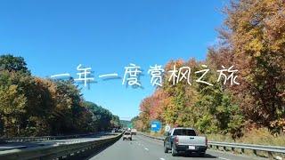 2022 赏枫之旅 | 美国麻省最佳自驾赏枫路线之一 - Mohawk Trail | 追逐枫叶的第三年