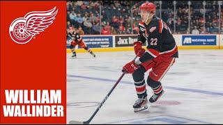 NHL Prospects : William Wallinder - 23-24 Highlights