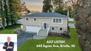 645 Agnes Ave, Brielle, NJ | Michael Skea