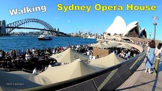 Sydney Walk - SYDNEY OPERA HOUSE - with SYDNEY HARBOUR BRIDGE view | Sydney Australia