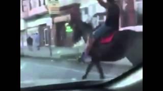 Riding a horse through the hood