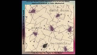 David Dunn - Angels And Insects 1992 Mix