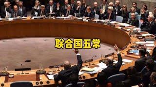 联合国五常有多厉害？马斯克为什么来中国建厂？~搞笑又不乏真实的带你看世界