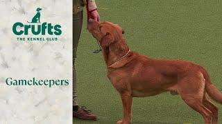 Gamekeepers Competition Final | ​Crufts 2024