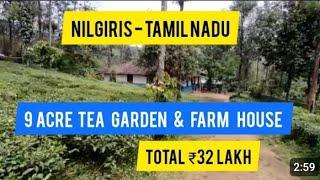 9 Acre Beautiful Tea Garden With Farm House For Sale | Nilgiris | Tamil Nadu (Total 32 Lakh)