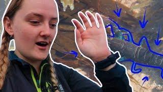 Rockpooling Vlog: The One Where I Find My Lobster