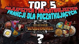 TOP 5 Najlepszych i Najłatwiejszych Frakcji Dla Początkujących  w Total War Warhammer 3 PL Poradnik