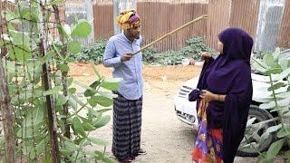 SHORT FILM (BAKAATI) SHAADIYO SHARAF IYO ABDIFITAH OO REER BAADIYO AH MAXAA KALA QABSADAY QOSOLKA