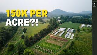 How Much Money Can A Small Farm Make? Let's Talk Numbers