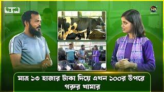 Deepto Krishi | ১৩ হাজার টাকা দিয়ে খামার শুরু বর্তমান ১০০ উপরে গরু। লাভবান পটিয়ার রিদোয়ান ভাই