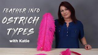 ZUCKER® Ostrich Feather Types & FAQ's | Get the FAQ's on the Best Variety of Ostrich Feathers!