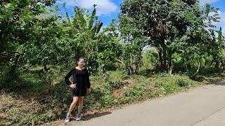 Farm Lot for Sale in Silang Cavite