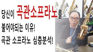 작아도 테너와 같죠. 그래서  인기 !