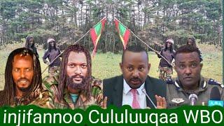 03/10/2024 injifannoo Cululuuqaa WBO Wallaagaa Baha Wallaagaa Dhiha Arsii Baha Shaggar keessatti