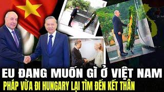 EU Đang Muốn Gì Ở Việt Nam: Pháp Vừa Đi Hungary Lại Tìm Đến Kết Thân | Lịch sử quân sự
