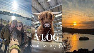 Life in Scotland vlog: Highland cow shopping, rural living chat and baking in my cottage