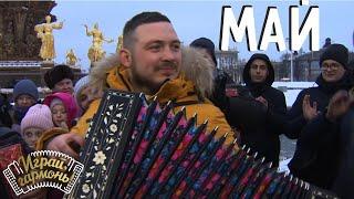 Май | Даниил Вялков (Республика Алтай) | Играй, гармонь! | @igraygarmon